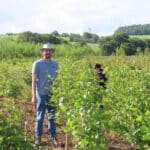 Alder at Ayrshire, June 2024