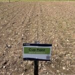 Plot Sign