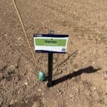 Plot Sign