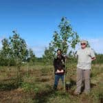 SRF Poplar