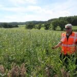 SRC Willow Variety Trial