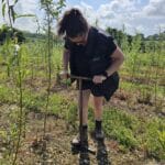 Making holes for Willow Rods - SRC Willow gapping up BGI