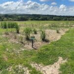 2023 Miscanthus variety trial