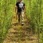 Gapping up the Willow