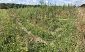 Willow six way mix