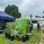 Biomass Crop Samples