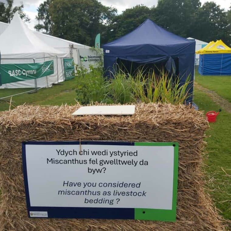 Heston Miscanthus Bale