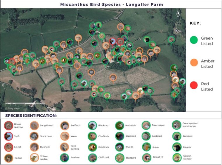 Figure 2: A map showing where a selection of bird species was seen or heard at Langaller Farm (Miscanthus crop). Red = red listed; orange = amber listed; green = green listed.