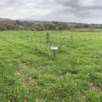 2024 variety trial