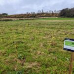 Sida at Ayrshire, October 2024