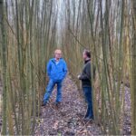 Tim with Jamie Rickerby in a field of 4yr old willow near Carlisle