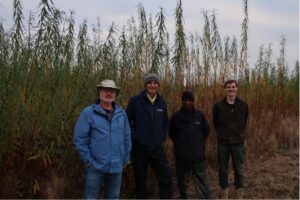 Kevin, Tim and Stewart Ritchie and Kizito Msekiwa at the Biomass Connect 6-way willow plot at Headley Hall