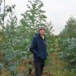 SRF Eucalyptus at Headley Hall