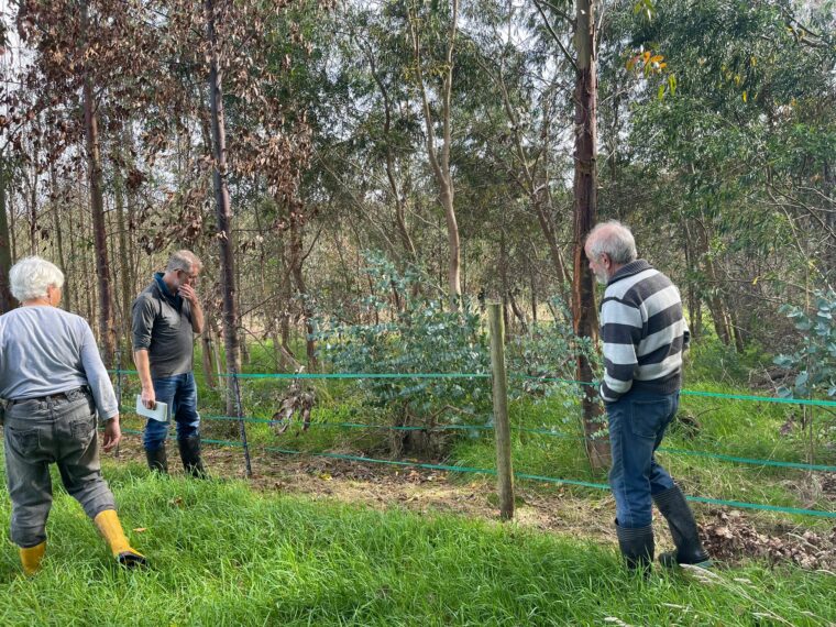 Biomass Connect Visit