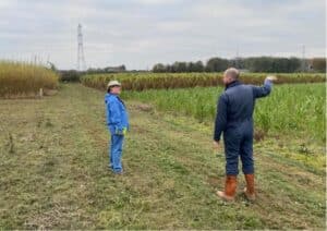 Will and Tim adjacent to Miscanthus and SRC willow plots at the Biomass Connect site in Headley Hall