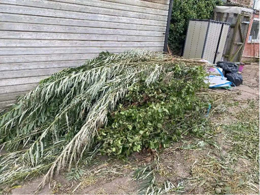 Figure 11: Mixed browse pile in the yard ready for sorting
