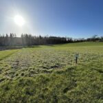 Sida at Hillsborough, Feb 2025