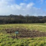 Sida at North Wyke, Feb 2025