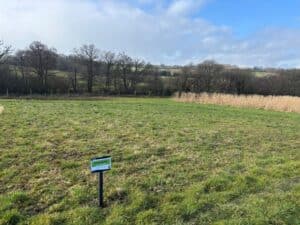 Switchgrass at North Wyke, Feb 2025