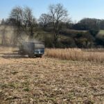 Miscanthus Harvest at Chesham, March 2025