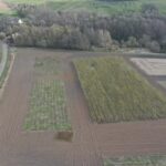 Drone Shot from Auchincruive, March 2025