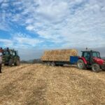 Miscanthus Harvest at Aberystwyth, March 2025