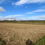 Miscanthus Harvest completed, Cockle Park Farm, March 2025