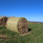 Miscanthus Harvest, Boghall, March 2025