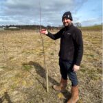Formative pruning on the SRF Italian Poplar on 26/03/25, Auchincruive