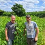 Sida, Chesham, June 2025