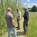 Willow, Chesham, June 2025