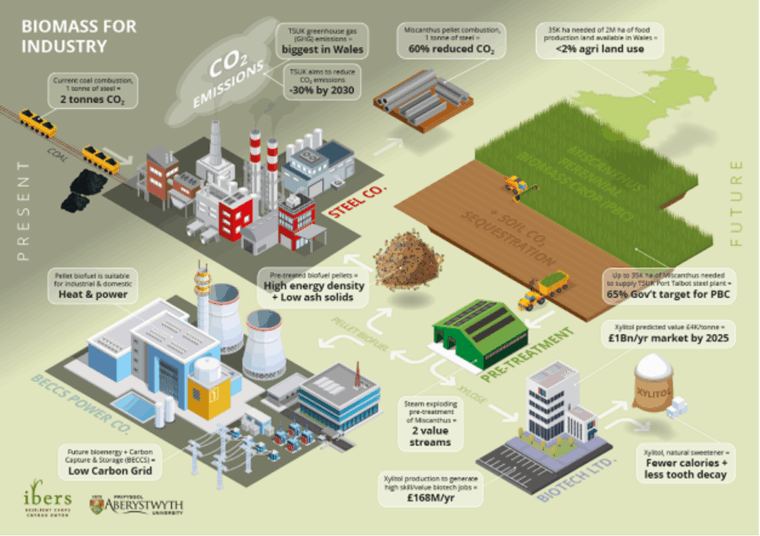 Figure 2. Demonstrating the potential routes and draft figures relating to biomass biorefinery outputs (in this example, Miscanthus)
