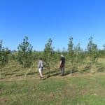 SRC Poplar, Aberystwyth, Aug 2025