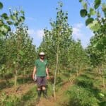 SRF Poplar, Boghall, Aug 2025