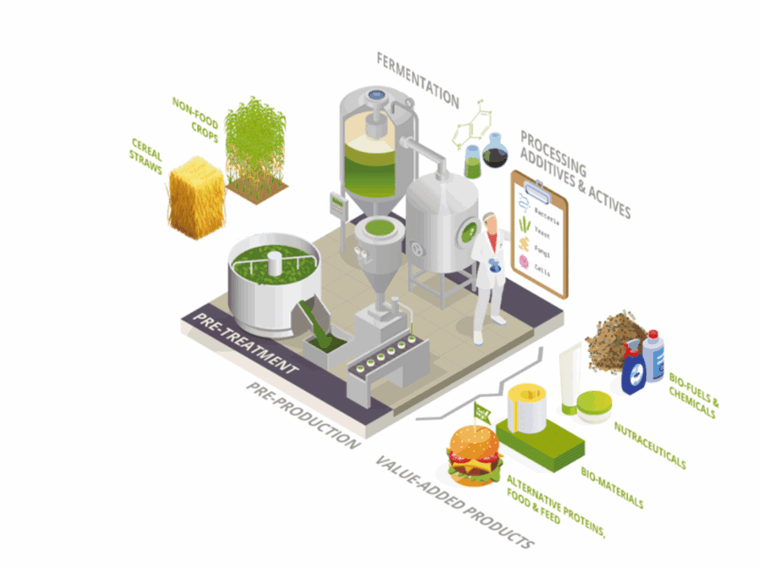 Figure 1: Biomass crop biorefining valorisation potential.