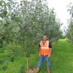 SRF Poplar, Headley Hall, Sept 2025
