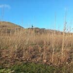 SRC Poplar, Boghall, Nov. 2025