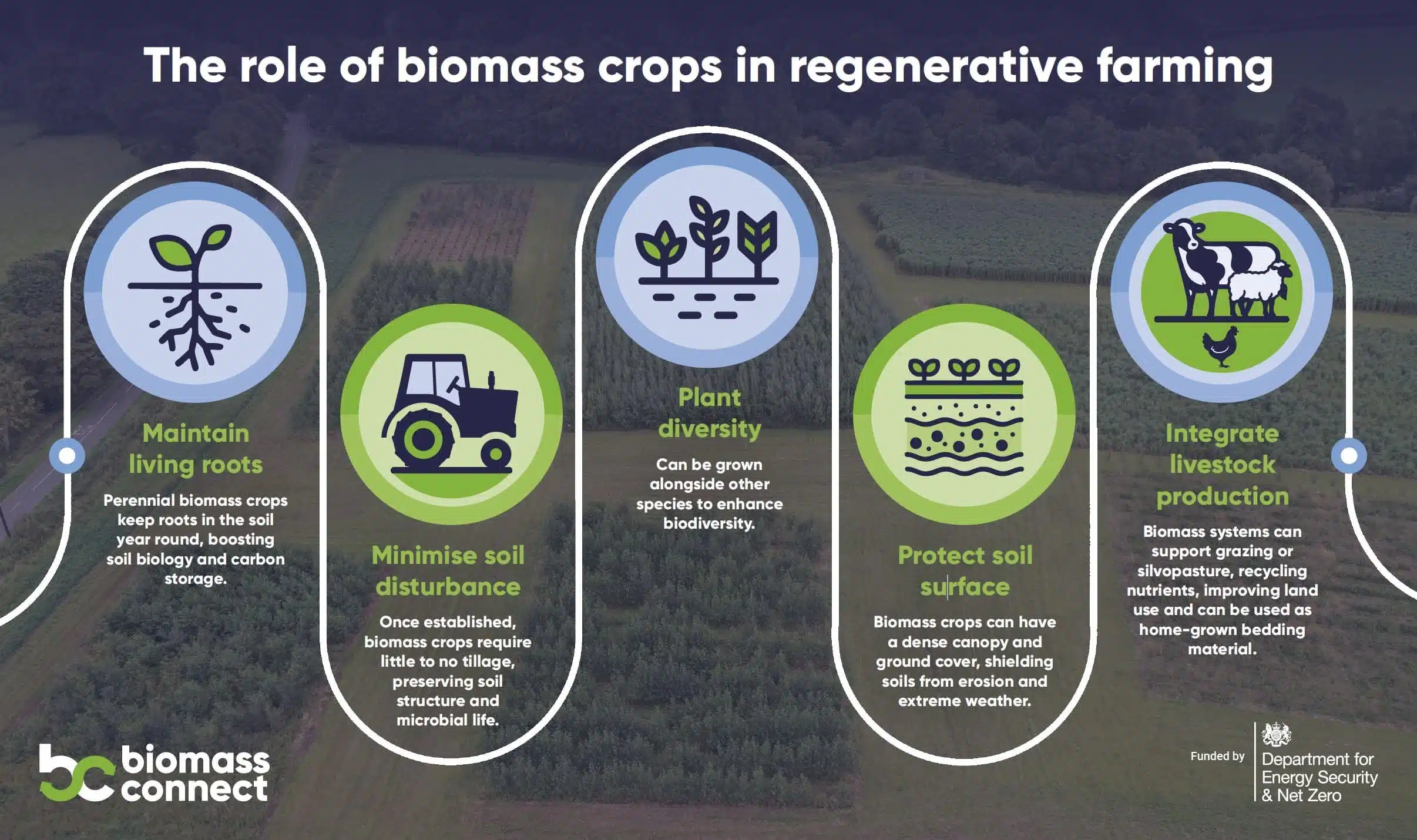 Biomass Crops in regenerative agriculture poster